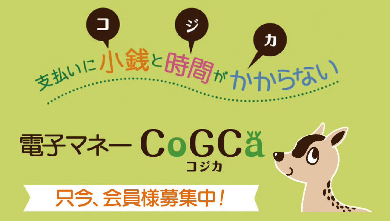 リオン・ドールCoGCaカード 会員募集中