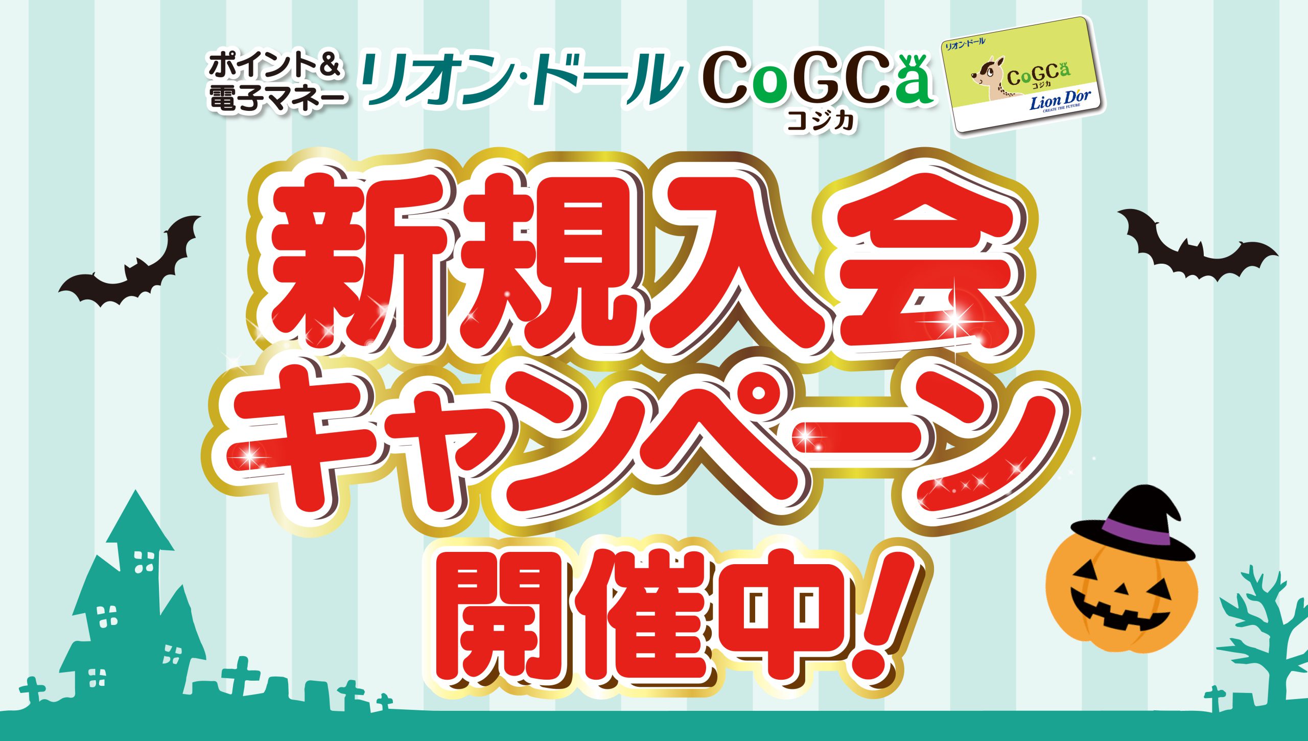 コジカ新規入会キャンペーン